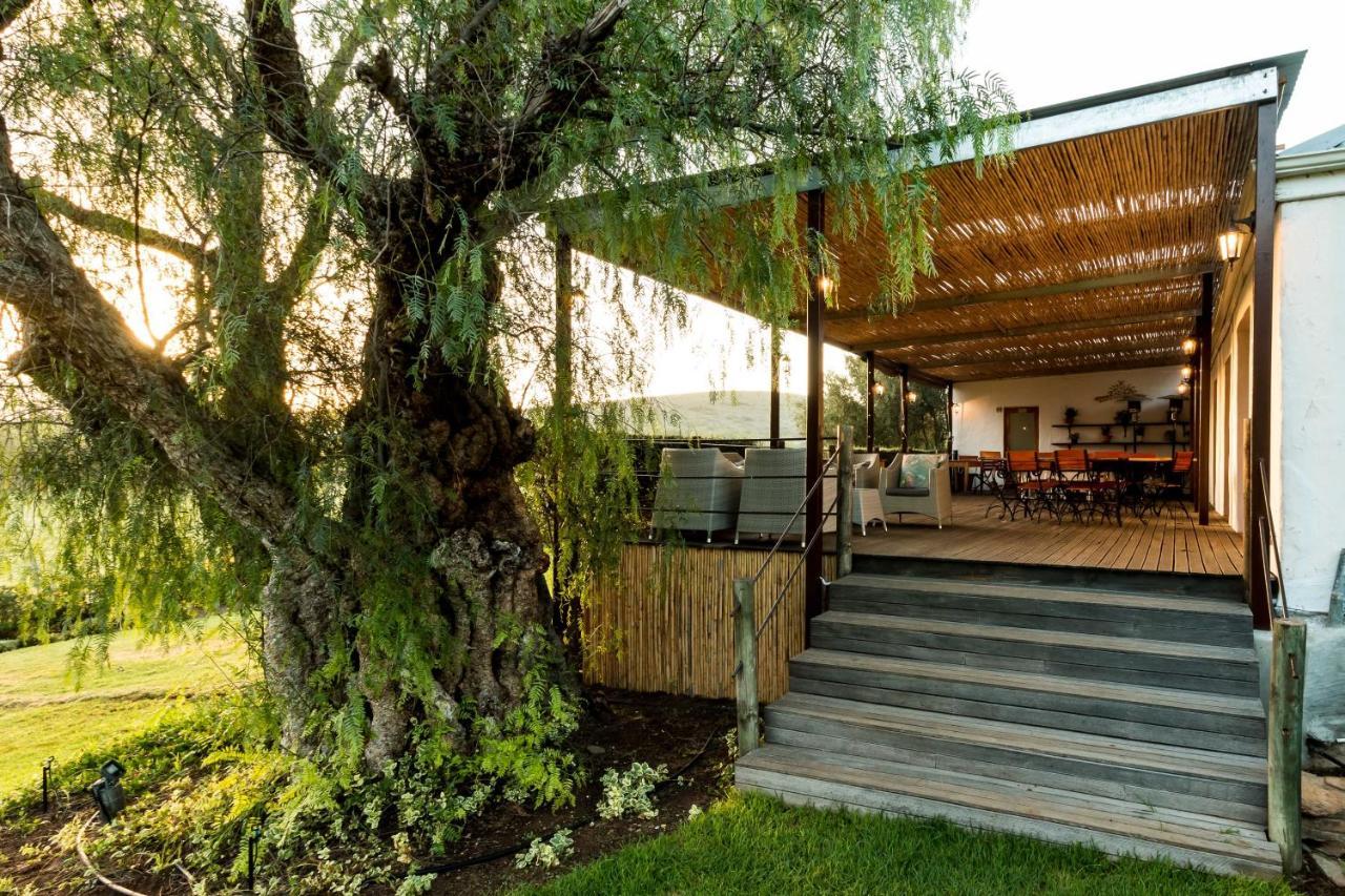 Swartberg Country Manor Guest House Matjiesrivier  Eksteriør bilde