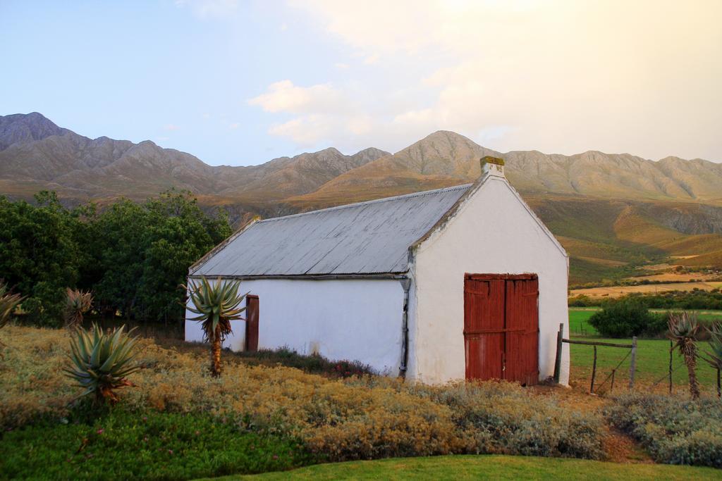 Swartberg Country Manor Guest House Matjiesrivier  Eksteriør bilde