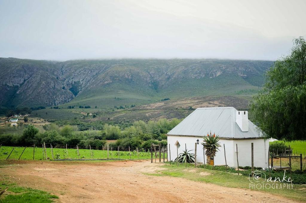 Swartberg Country Manor Guest House Matjiesrivier  Eksteriør bilde