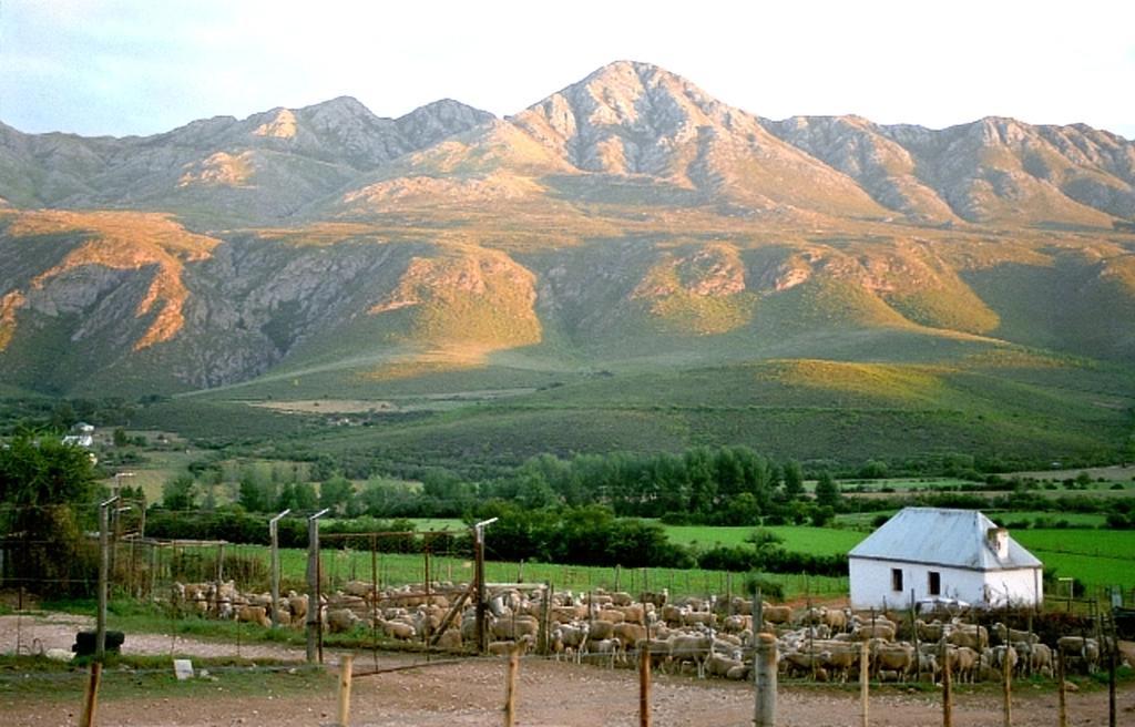 Swartberg Country Manor Guest House Matjiesrivier  Eksteriør bilde