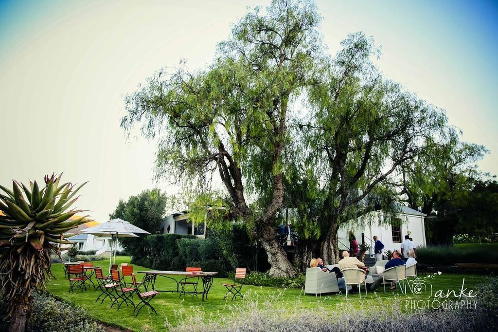 Swartberg Country Manor Guest House Matjiesrivier  Eksteriør bilde
